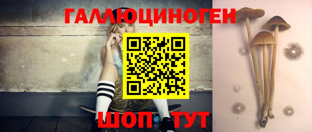 Галлюциногенные грибы мицелий Гусь-Хрустальный
